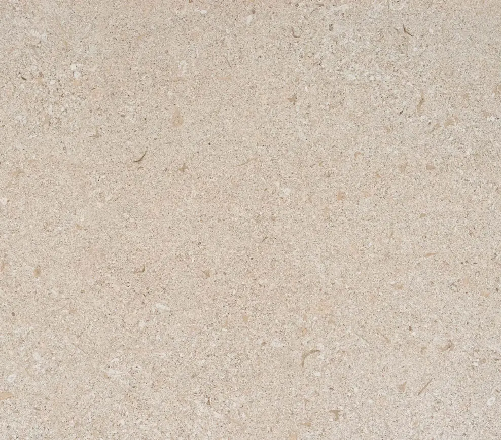 Avorio